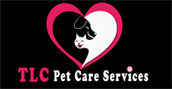 Pet Care & Grooming in South Florida