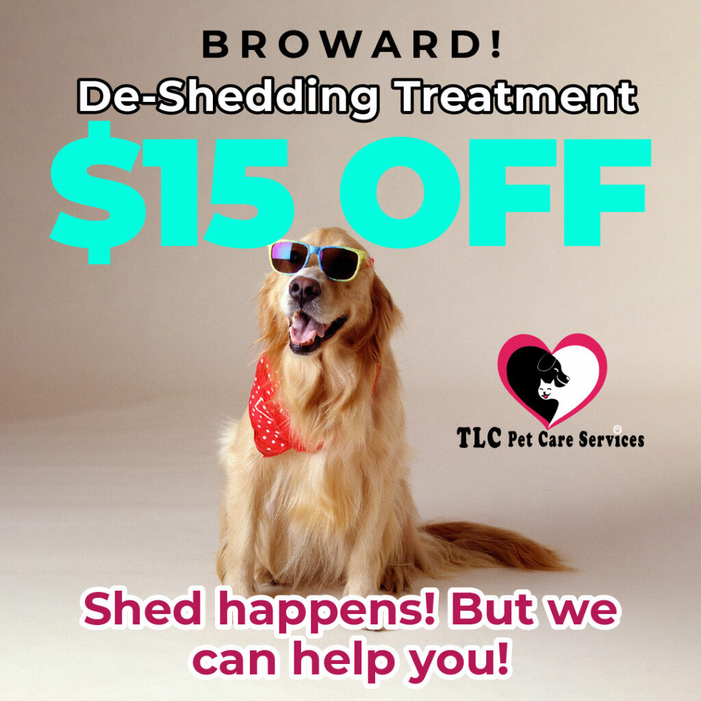 Pet Care & Grooming In South Florida - TLC Pet Care