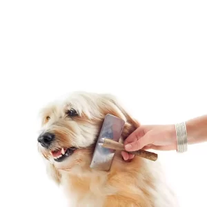 grooming pet