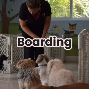 boarding