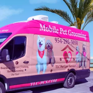 mobile pet care services